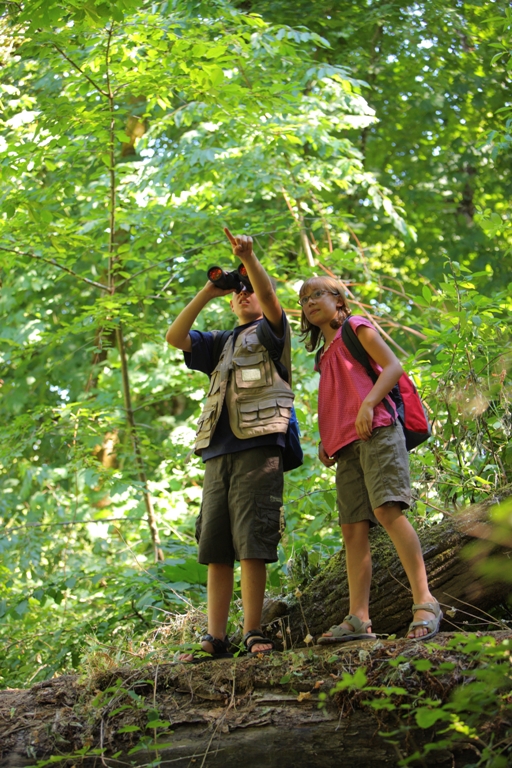 Two kids investigating nature in a field