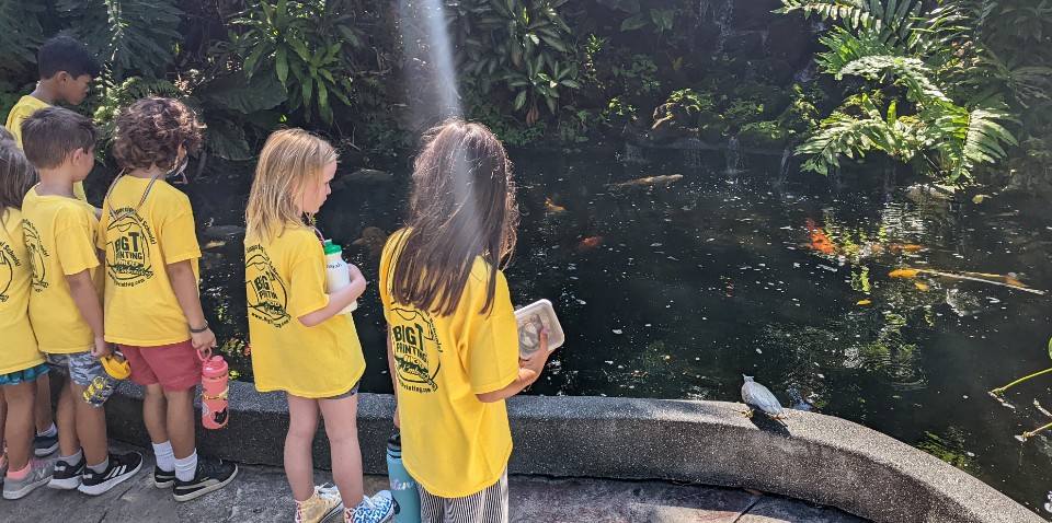Kids observing a pond on a field trip